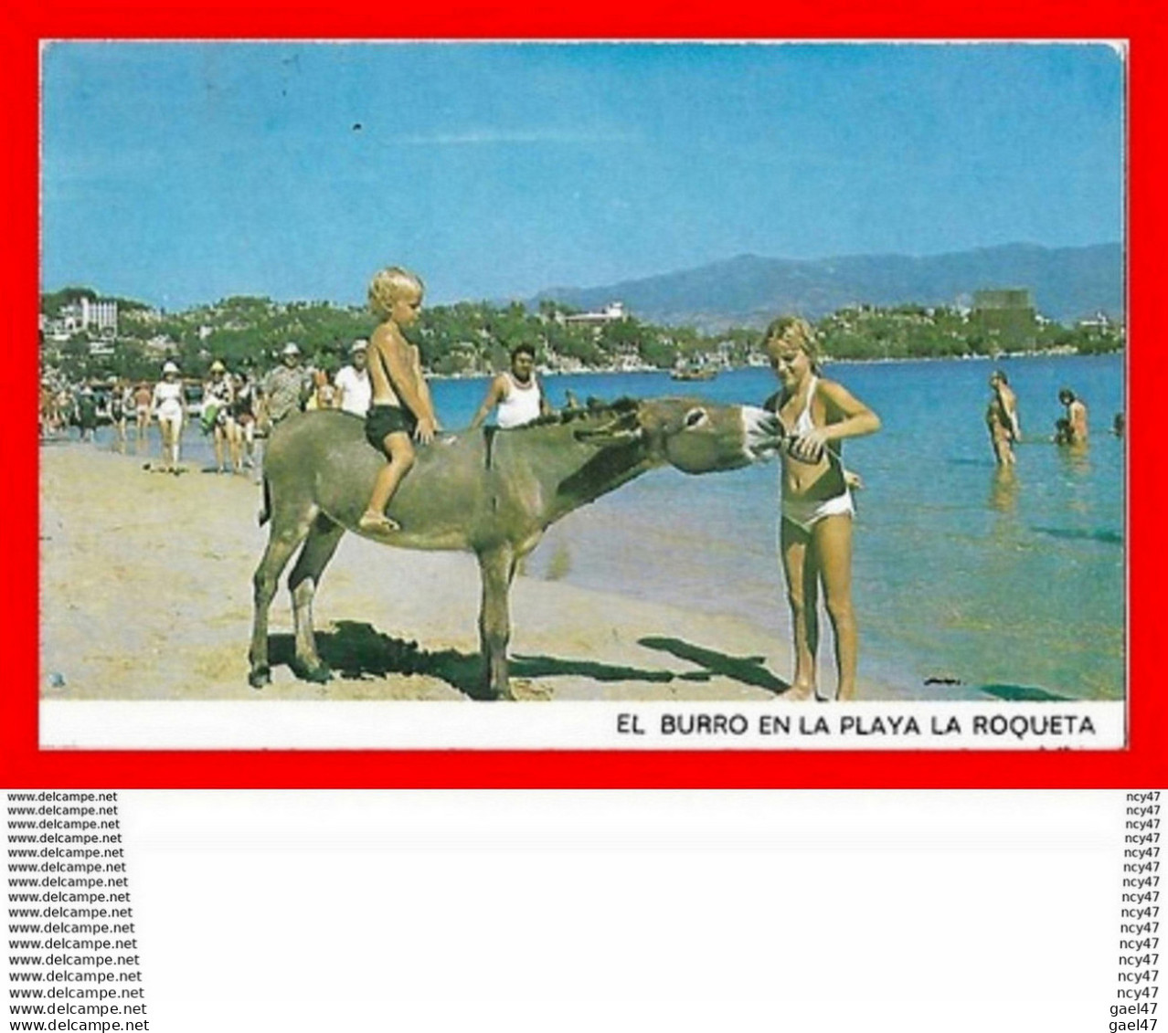 CPSM/pf ACAPULCO (Mexique)  El Burro En La Playa La Roqueta, Animé, âne...S1504 - Mexique