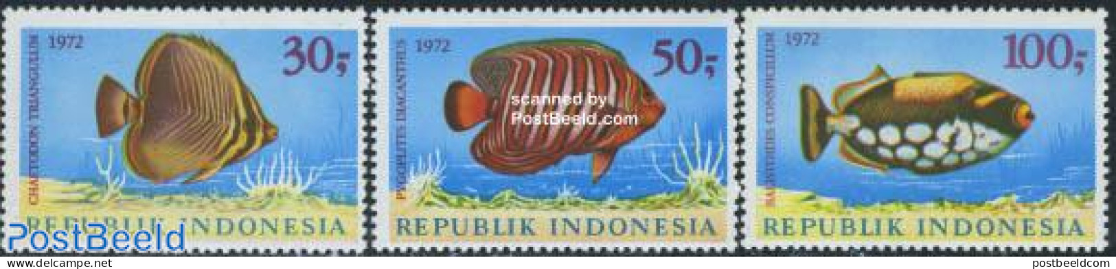 Indonesia 1972 Fish 3v, Mint NH, Nature - Fish - Vissen