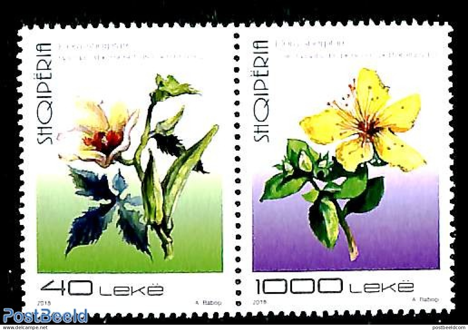 Albania 2018 Flowers 2v [:], Mint NH, Nature - Flowers & Plants - Albania