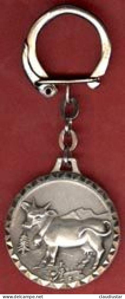 ** LOT  2  PORTE - CLEFS  VILLE  EVIAN ** - Portachiavi