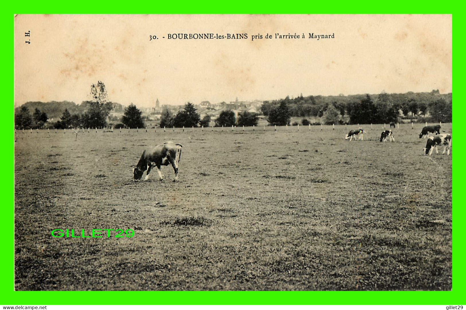 BOURBONNE LES BAINS (52) - TROUPEAU DE VACHES PRIS DE L'ARRIVÉE À MAYNARD - J. H. - - Bourbonne Les Bains