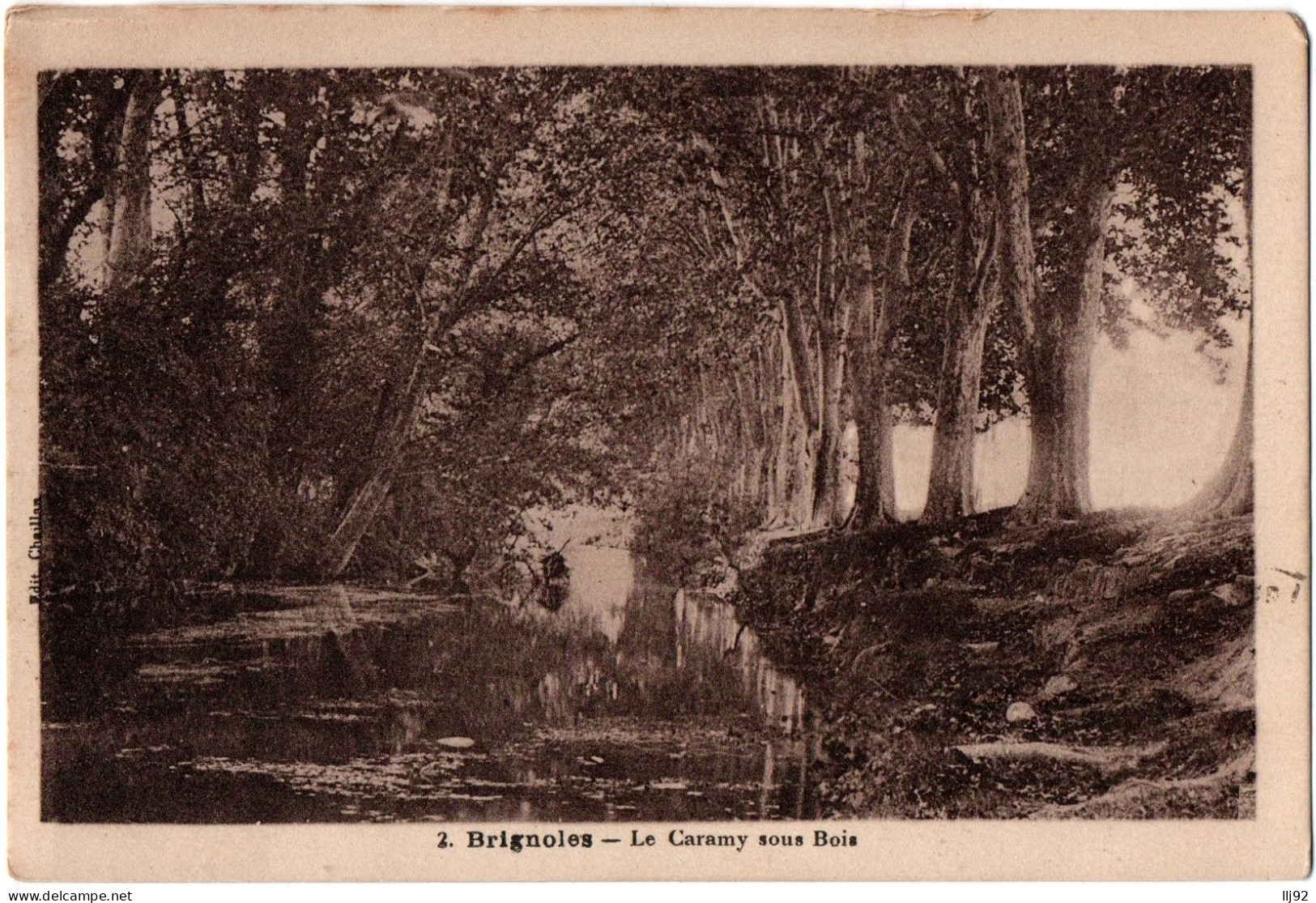 CPA 83 - BRIGNOLES (Var) - 2. Le Caramy Sous Bois - Brignoles