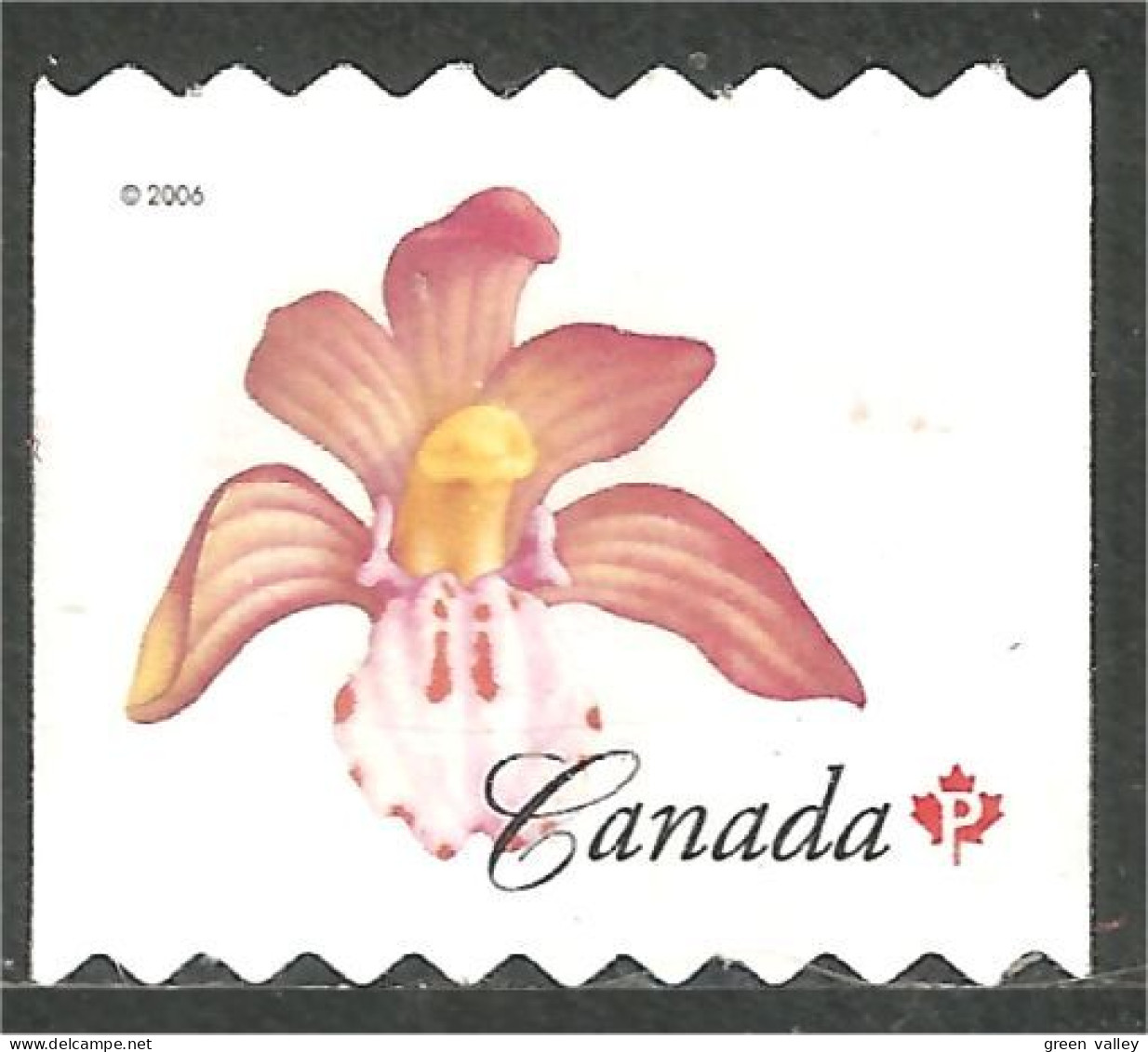 Canada Spotted Coralroot Flower Fleur Racine De Corail Tachetée Coil Roulette Mint No Gum (428) - Autres & Non Classés