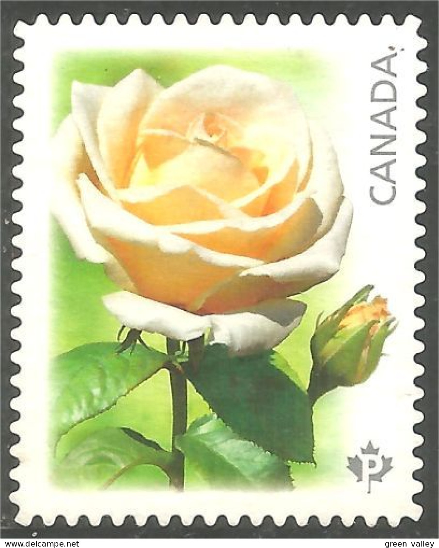 Canada Yellow Rose Jaune Mint No Gum (361a) - Gebraucht