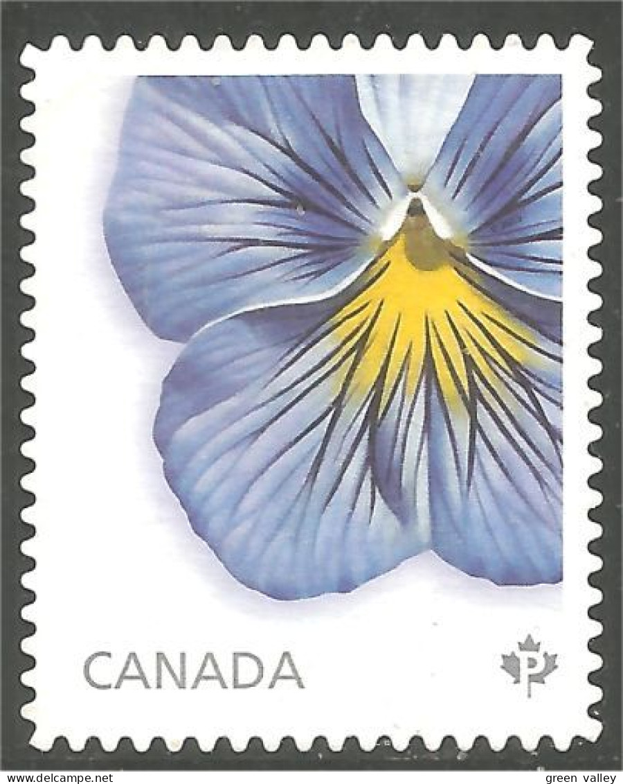 Canada Pensée Pansy Violet Violette Mint No Gum (358) - Gebraucht