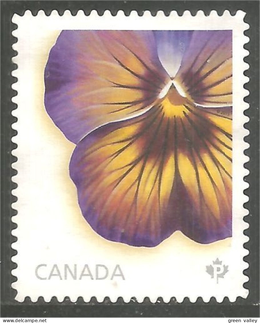 Canada Pensée Pansy Violet Violette Mint No Gum (359a) - Other & Unclassified