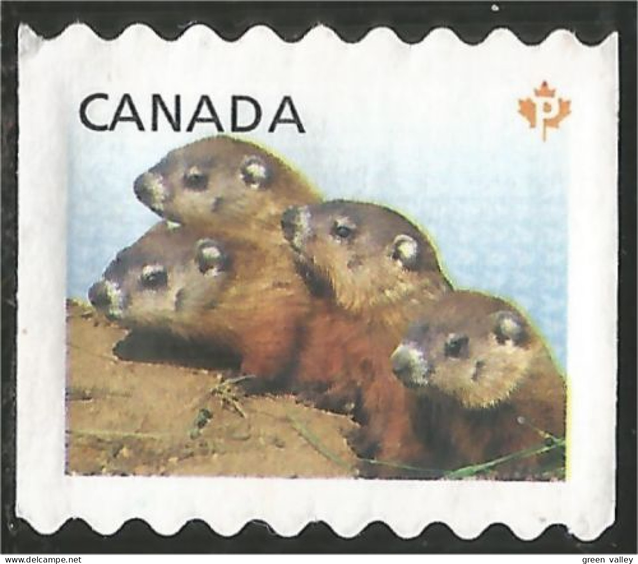 Canada Chiens Prairie Dogs Mint No Gum (7) - Gebruikt