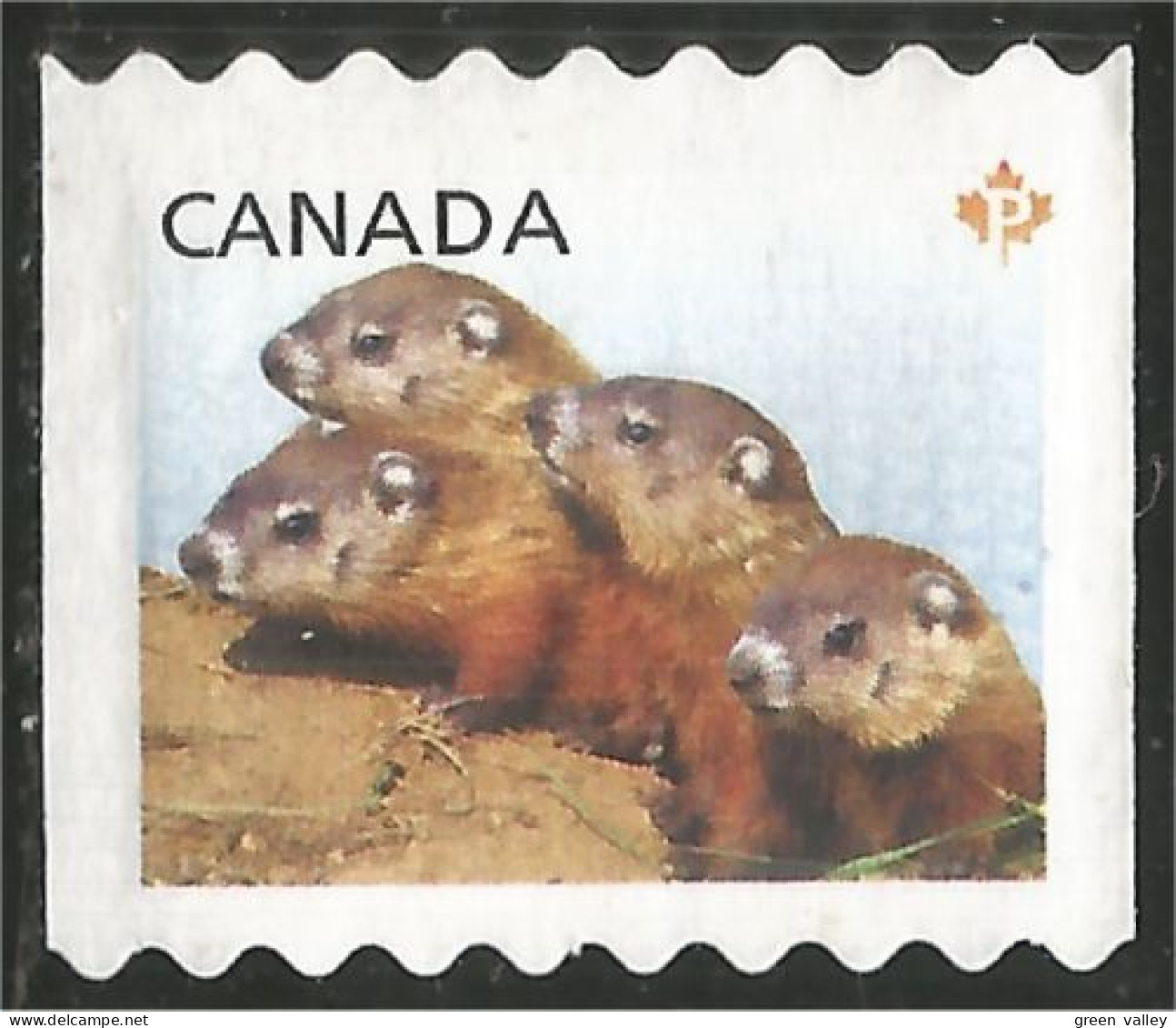 Canada Chiens Prairie Dogs Mint No Gum (6) - Usados