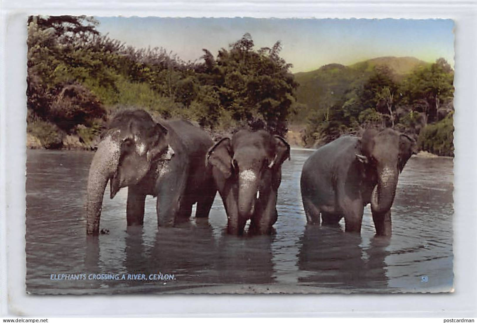 Sri Lanka - Elephants Crossing A River - Publ. Ceylon Pictorials 58 - Sri Lanka (Ceylon)