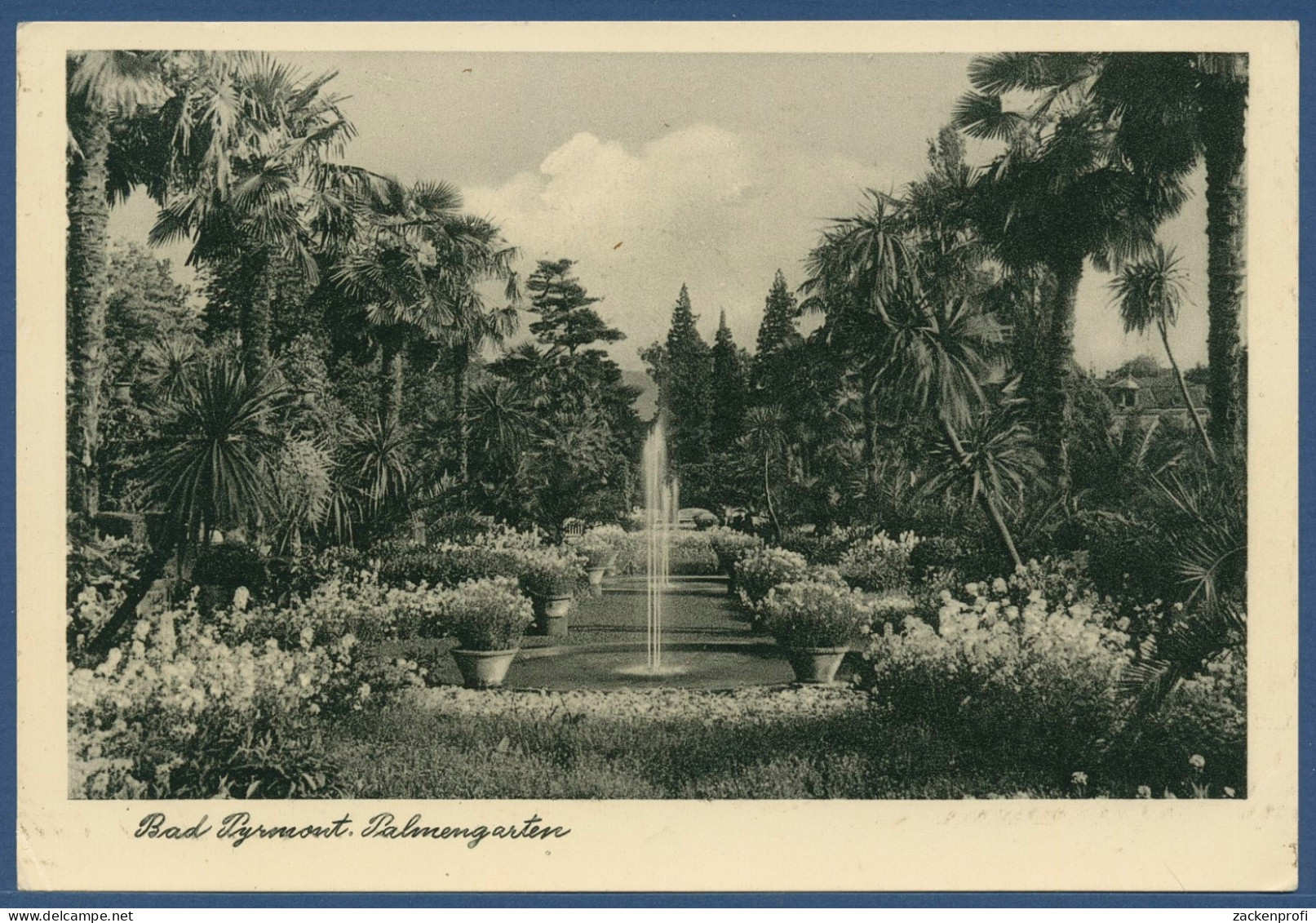 Bad Pyrmont Palmengarten, Ungebraucht (AK3883) - Bad Pyrmont