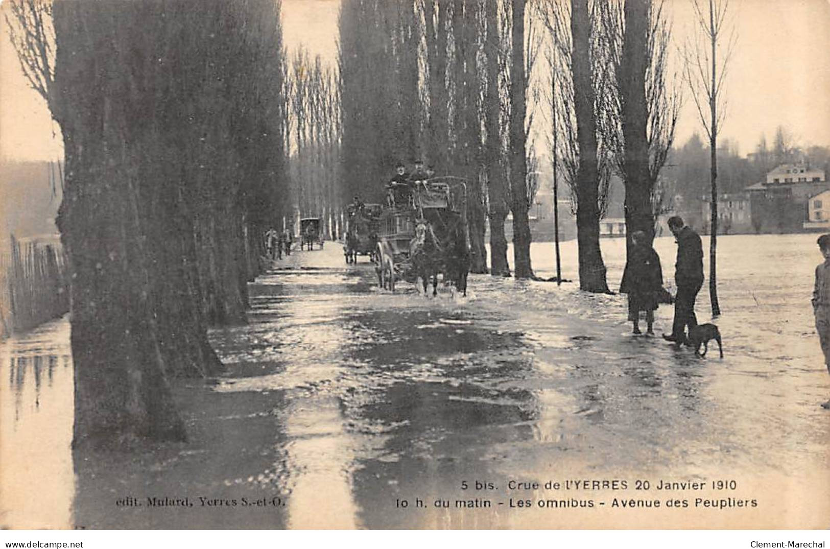 Crue De L'YERRES - 20 Janvier 1910 - Les Omnibus - Avenue Des Peupliers - Très Bon état - Yerres