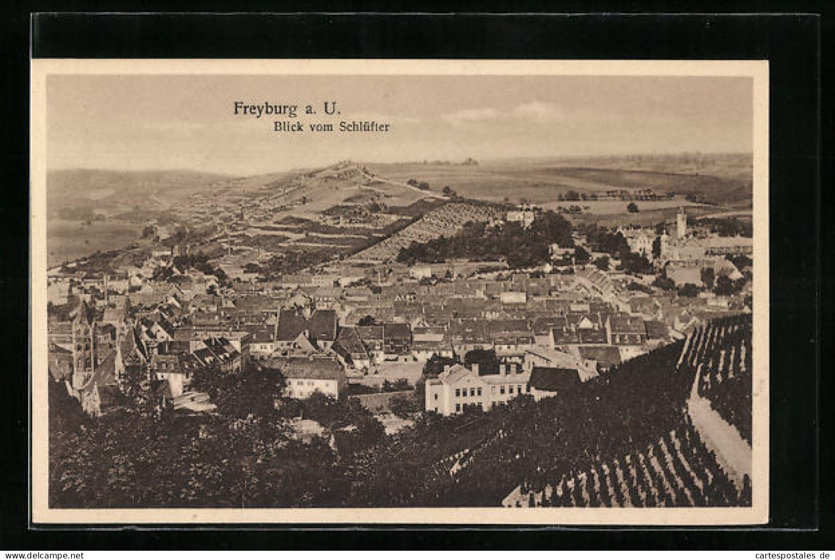 AK Freyburg A. U., Blick Vom Schlüfter  - Freyburg A. D. Unstrut