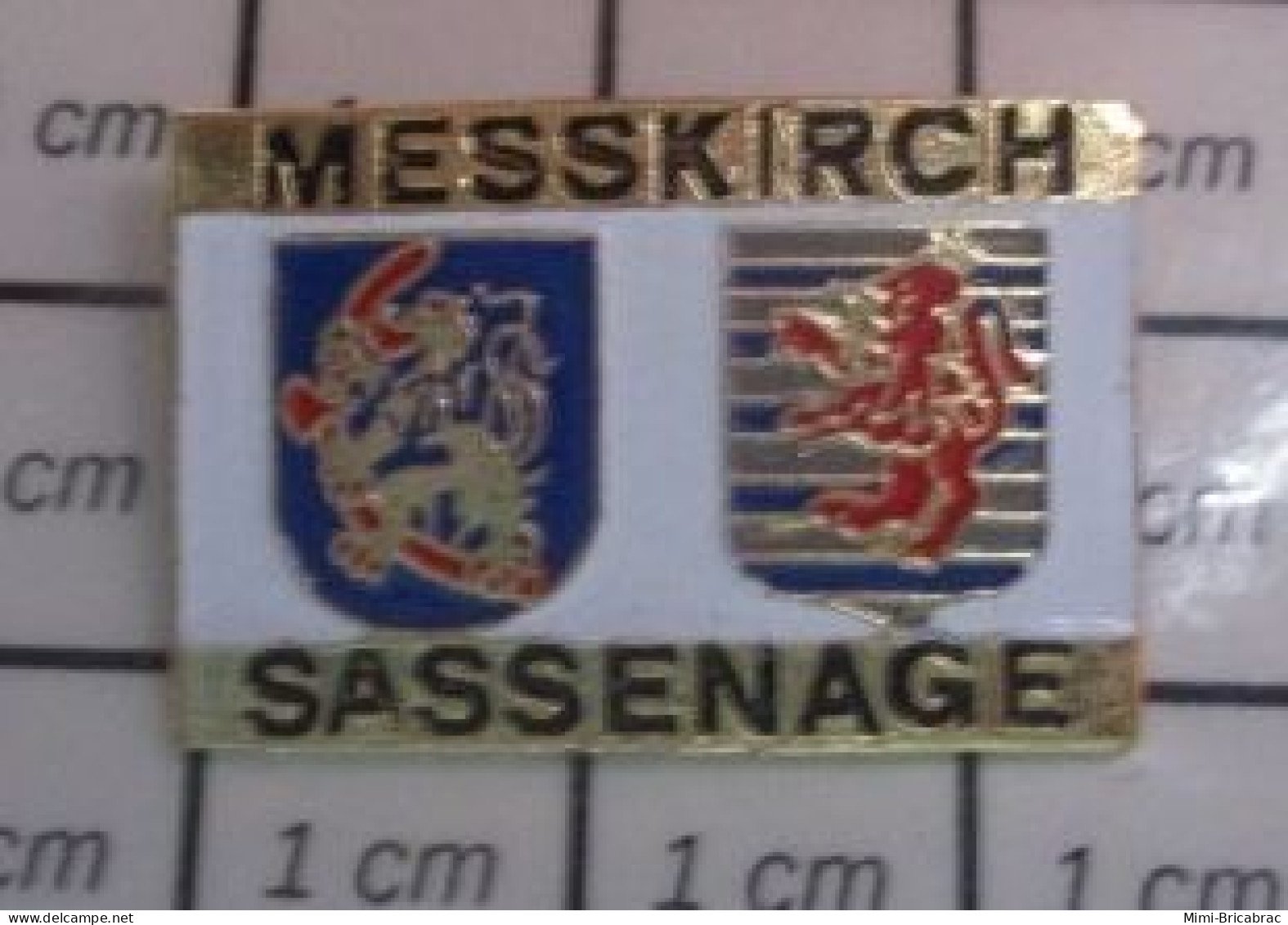 912b Pin's Pins / Beau Et Rare / VILLES / JUMELAGE MESSKIRCH SASSENAGE - Cities