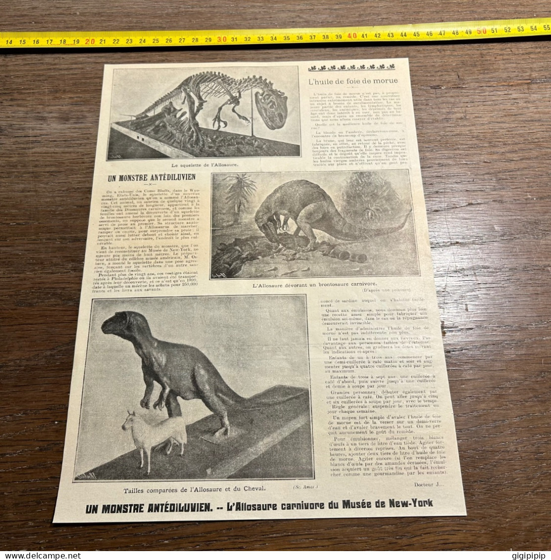 1908 PATI MONSTRE ANTEDILUVIEN  Allosaure Carnivore Dinosaure Du Musée De New-York - Verzamelingen