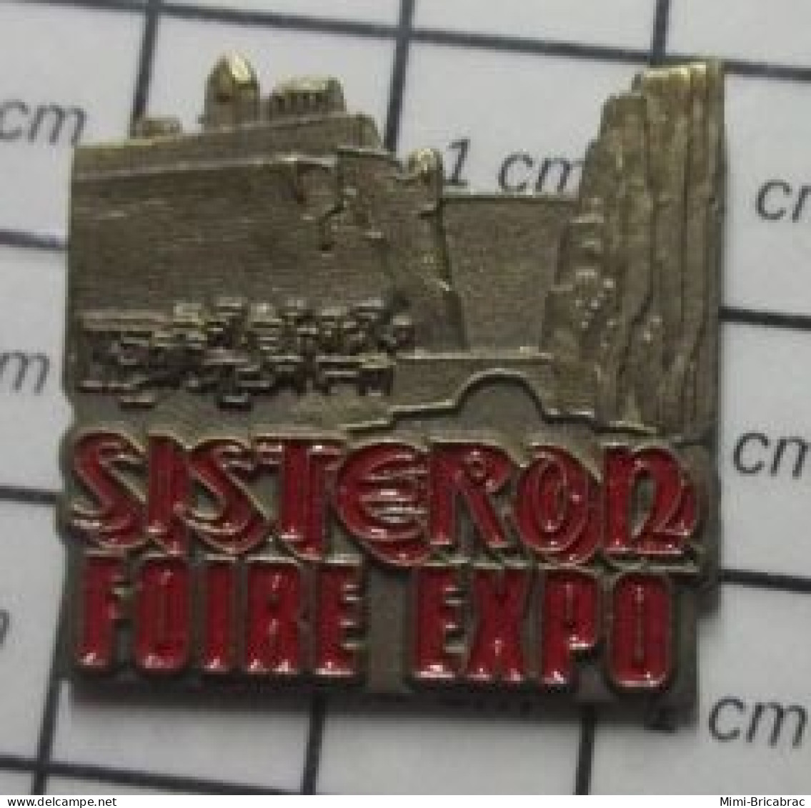 912C Pin's Pins / Beau Et Rare / VILLES / FOIRE EXPO DE SISTERON ALPES DE HAUTE PROVENCE - Steden