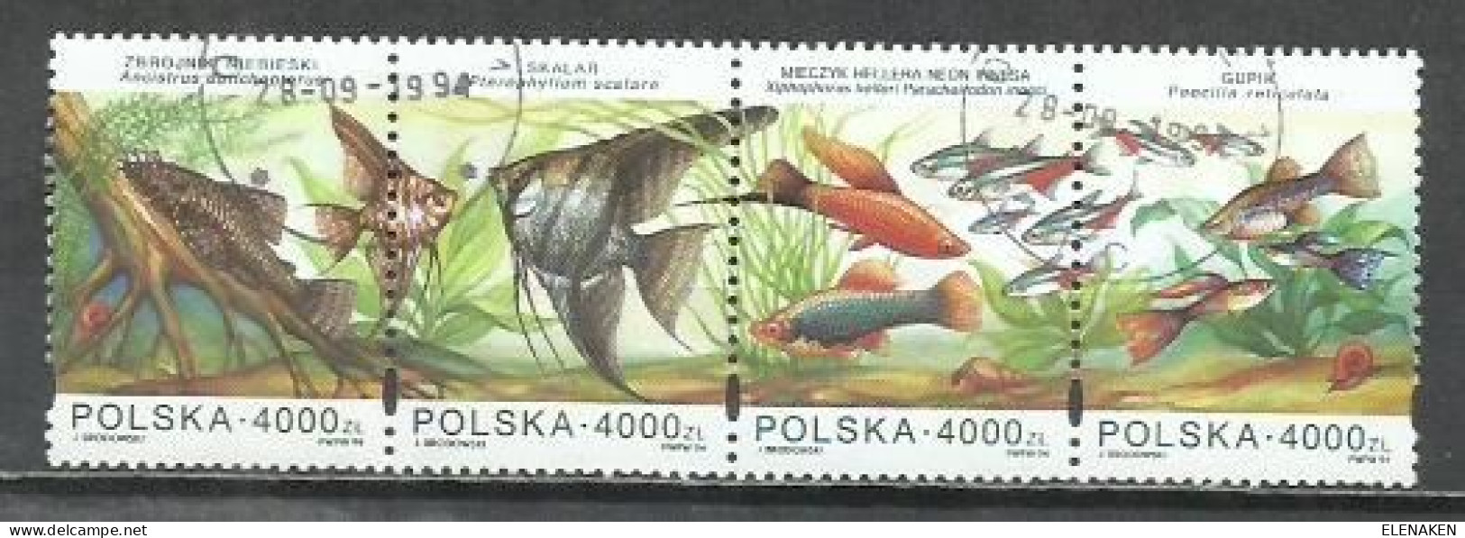 9113- SERIE COMPLETA POLONIA PECES FAUNA MARINA 1996 Nº 3388/3393 MUY BONITOS. - Oblitérés