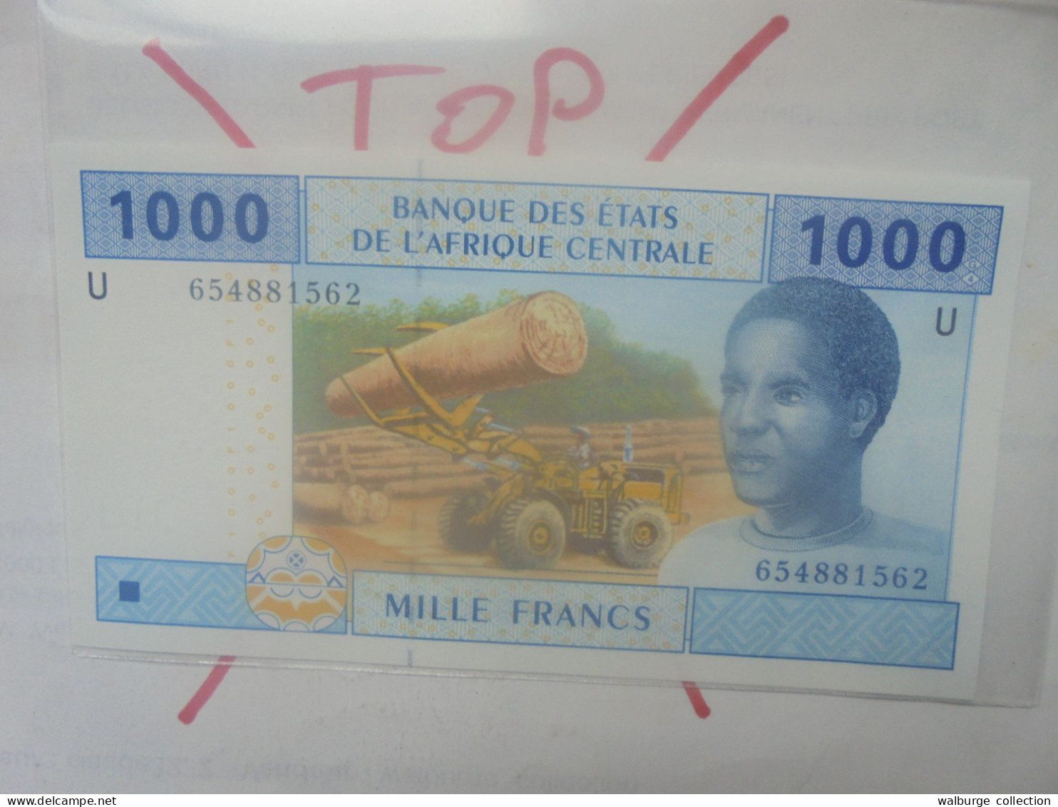 AFRIQUE CENTRALE (CAMEROUN) 1000 FRANCS 2002 Neuf (B.33) - Central African States