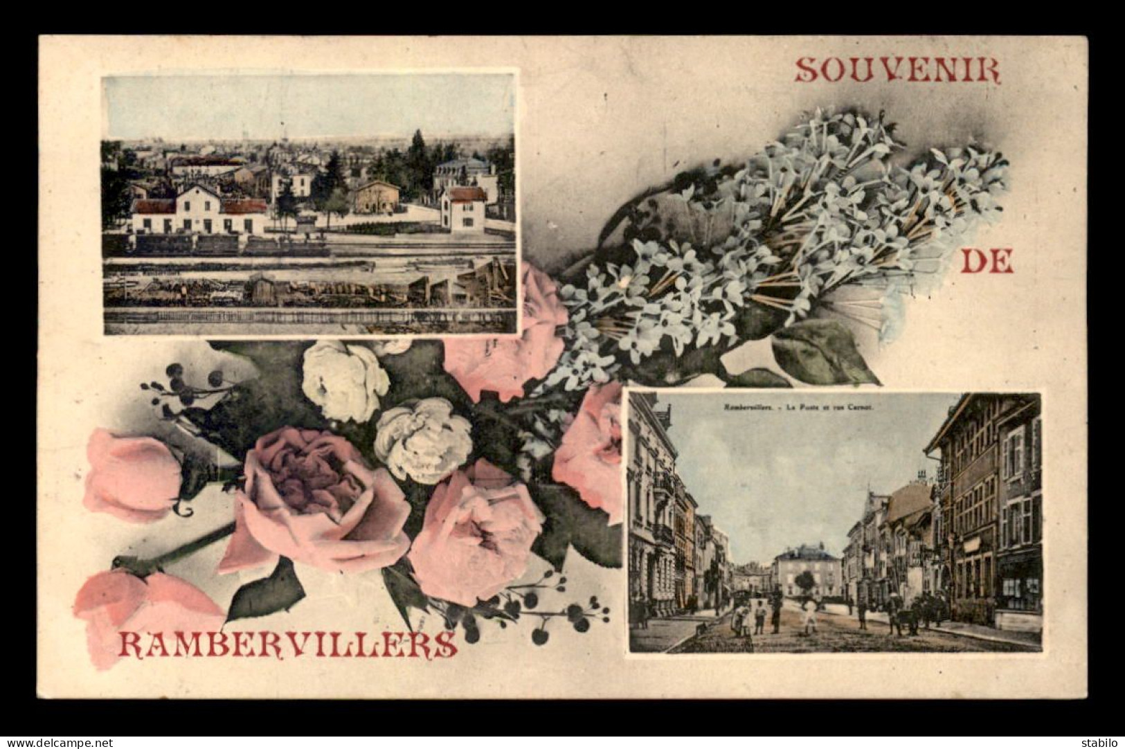 88 - RAMBERVILLERS - SOUVENIR - MULTIVUES ET FLEURS - Rambervillers