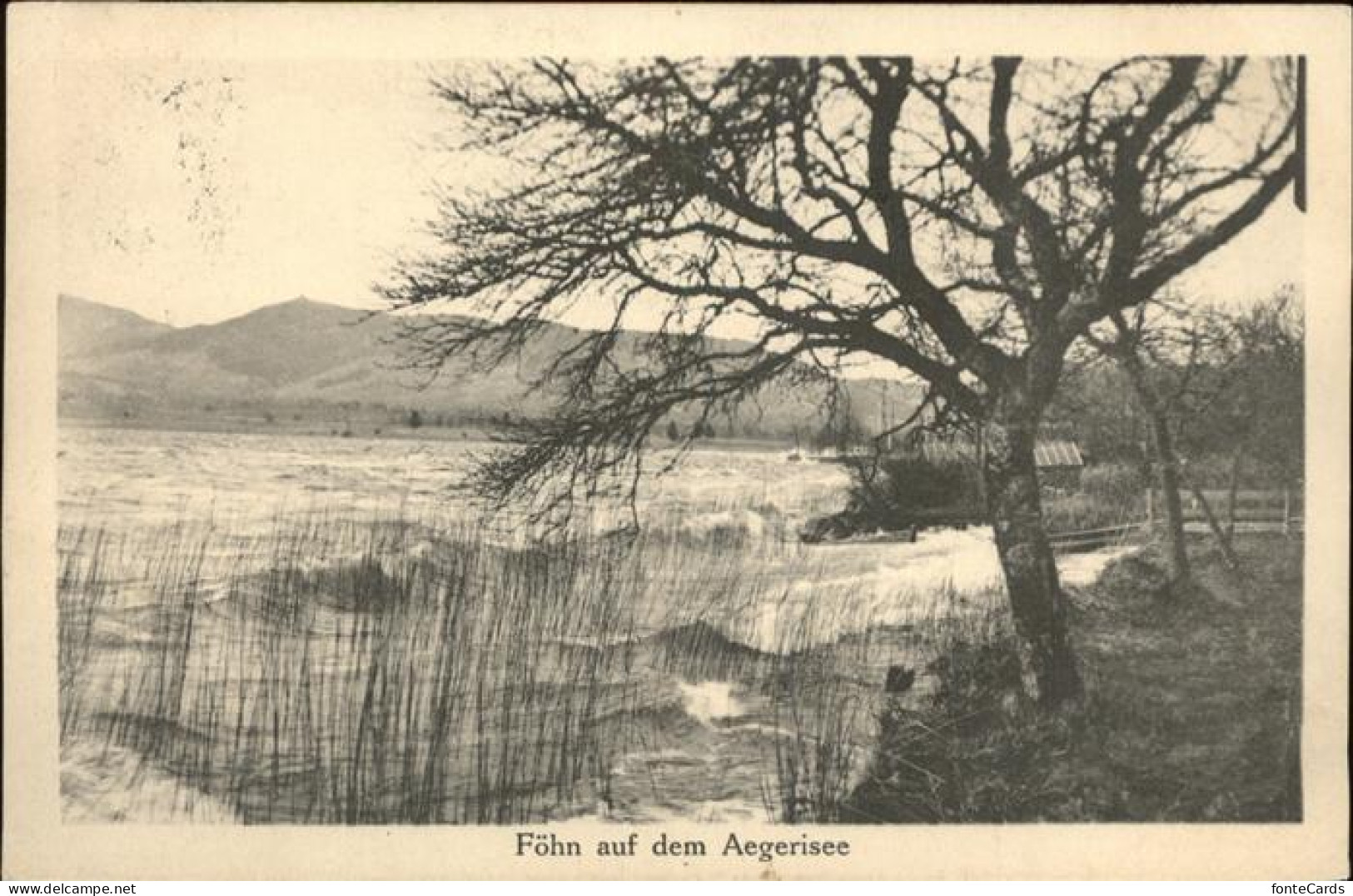 11384726 Aegerisee Aegerisee Unteraegeri Unter-Aegeri ZG Sturm Auf Dem See  - Sonstige & Ohne Zuordnung