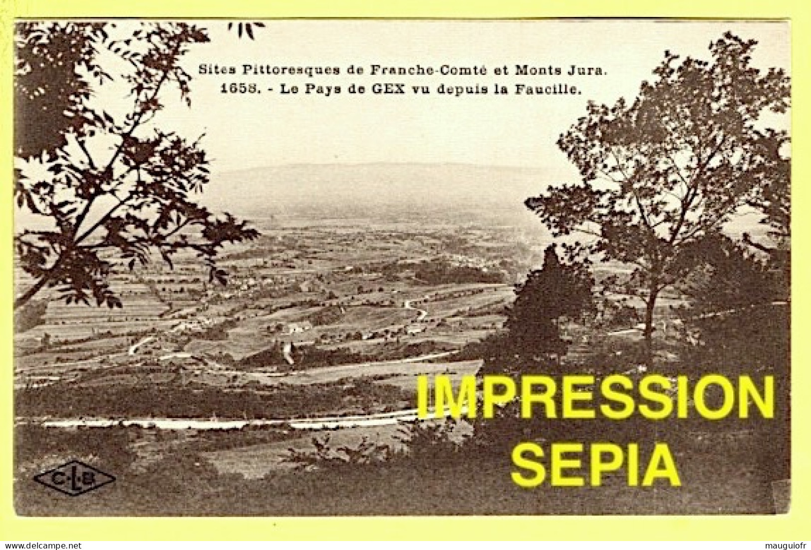 01 AIN / GEX / LE PAYS DE GEX VU DEPUIS LA FAUCILLE - Gex