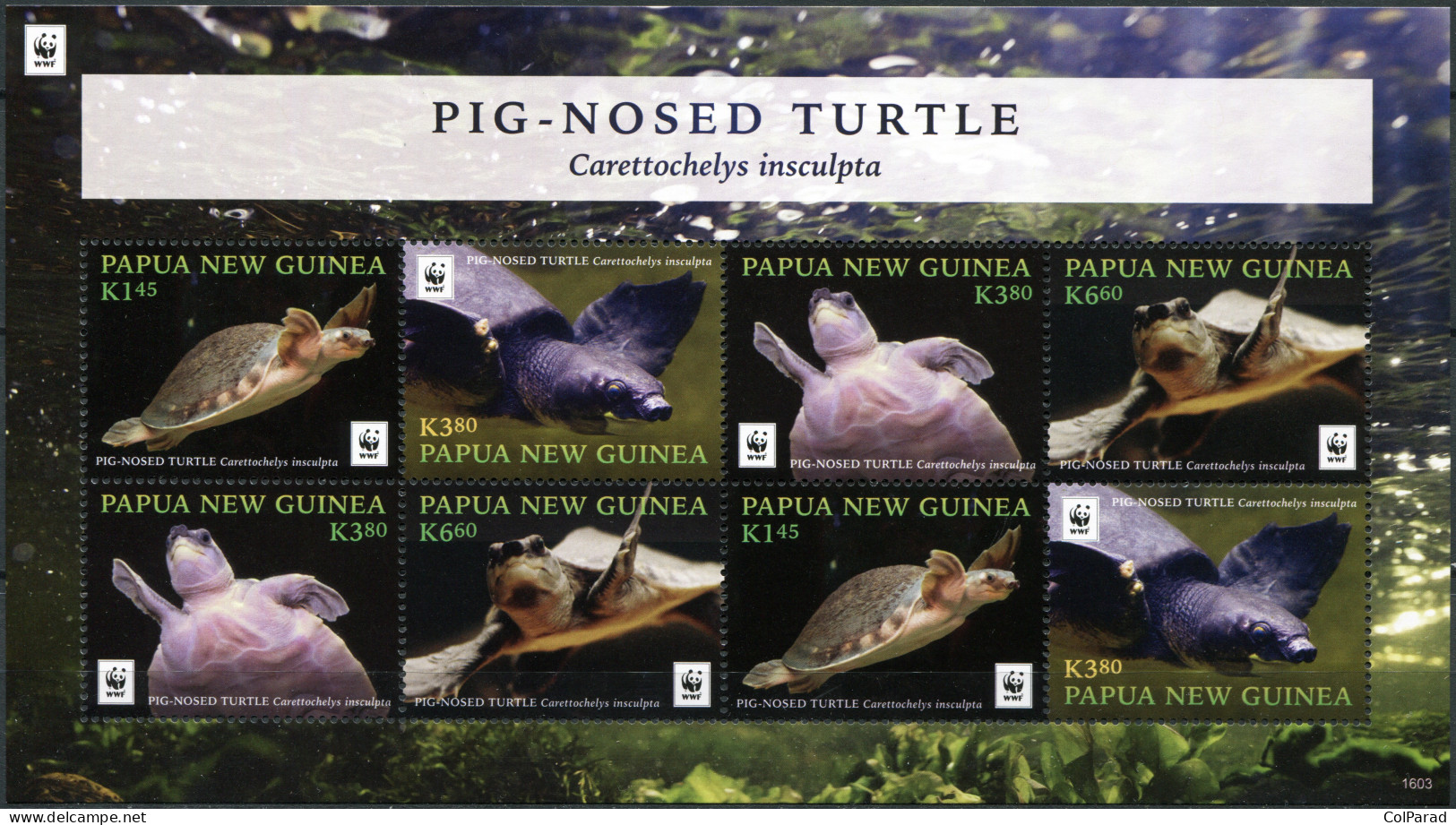 PAPUA NEW GUINEA - 2016 - MINIATURE SHEET MNH ** - Pig-Nosed Turtle - Papua New Guinea