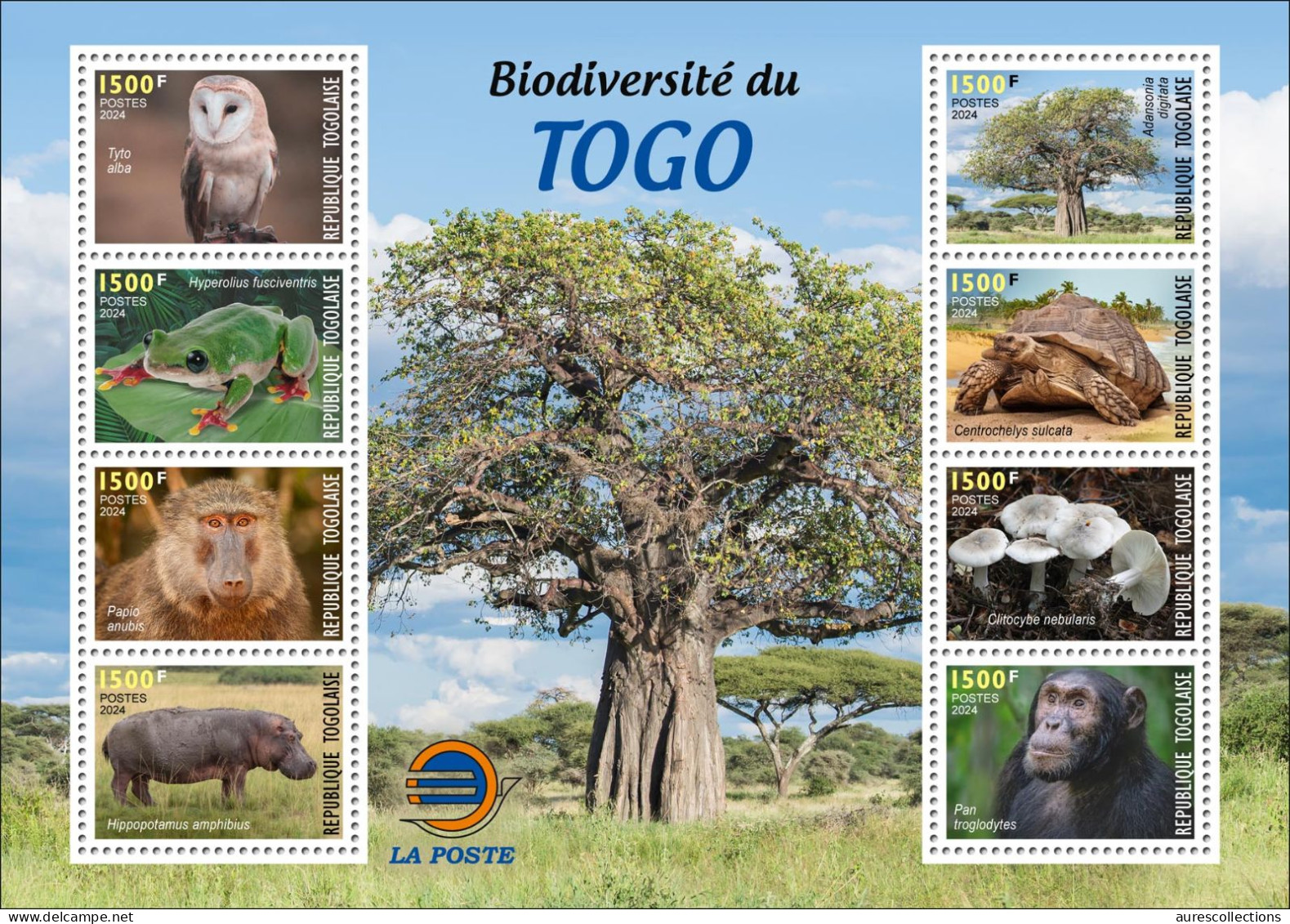 TOGO 2024 BOOKLET - REGULAR ONLY - MUSHROOMS OWL OWLS FROG FROGS TURTLE TURTLES HIPPOPOTAMUS BAOBAB MONKEY - MNH - Kikkers