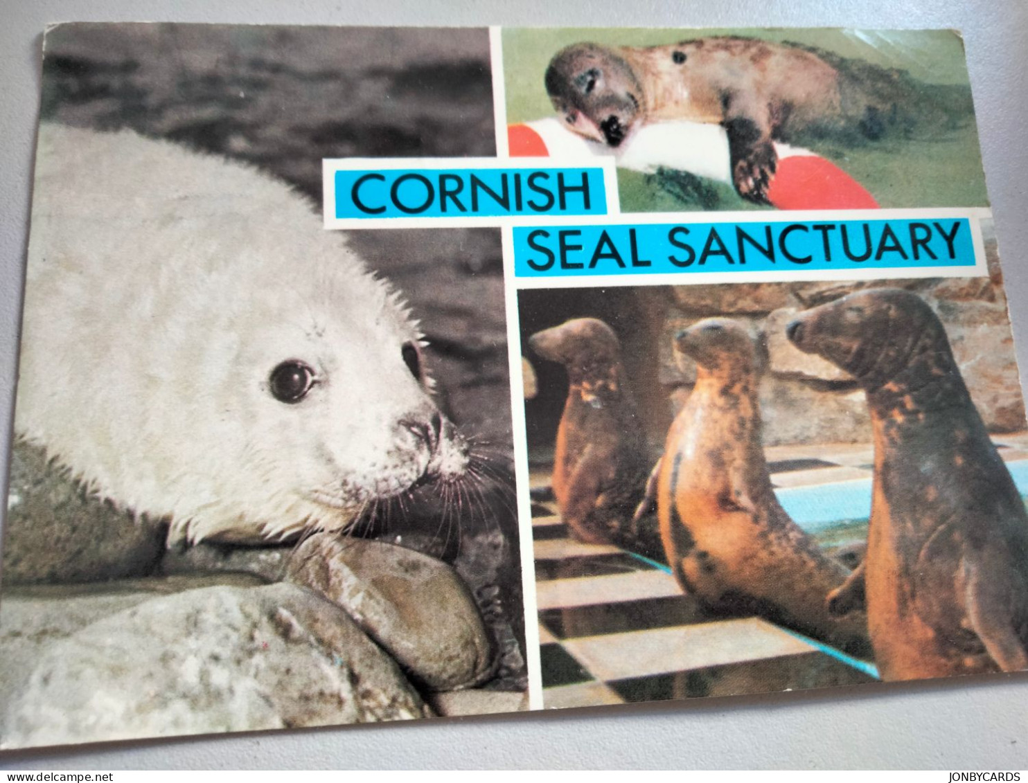 Cornish Seal Sanctuary ,Gweek,Cornwall.used Postcard.#50. - Autres & Non Classés