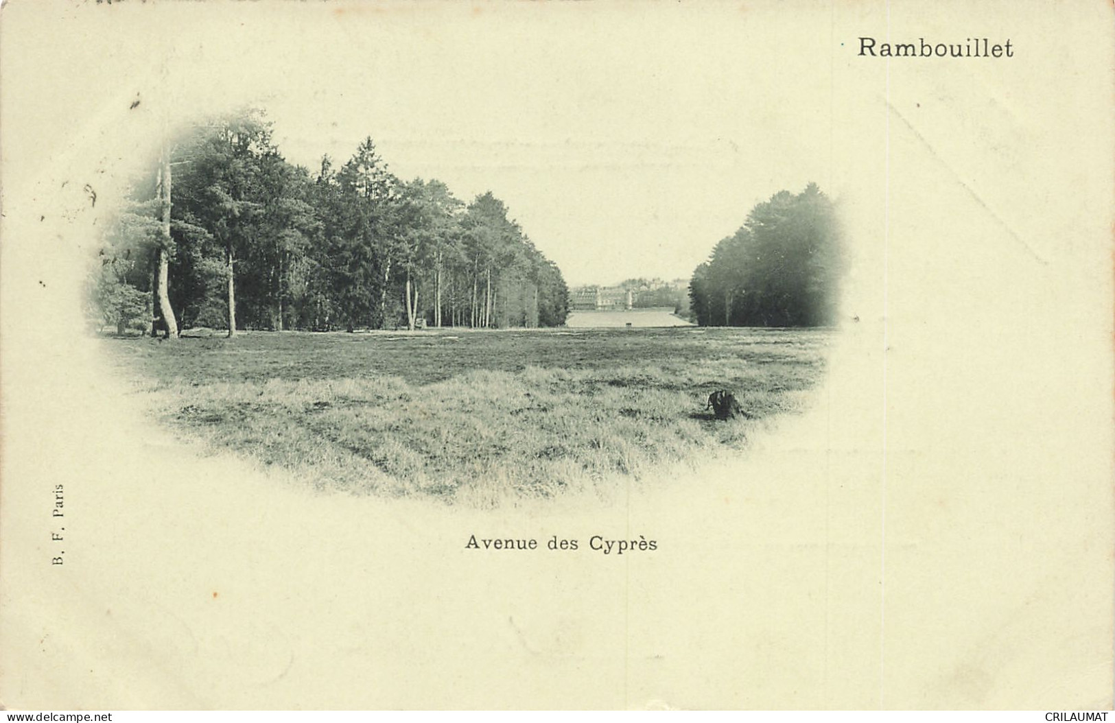 78-RAMBOUILLET AVENUE DES CYPRES-N°T5276-G/0219 - Rambouillet (Kasteel)
