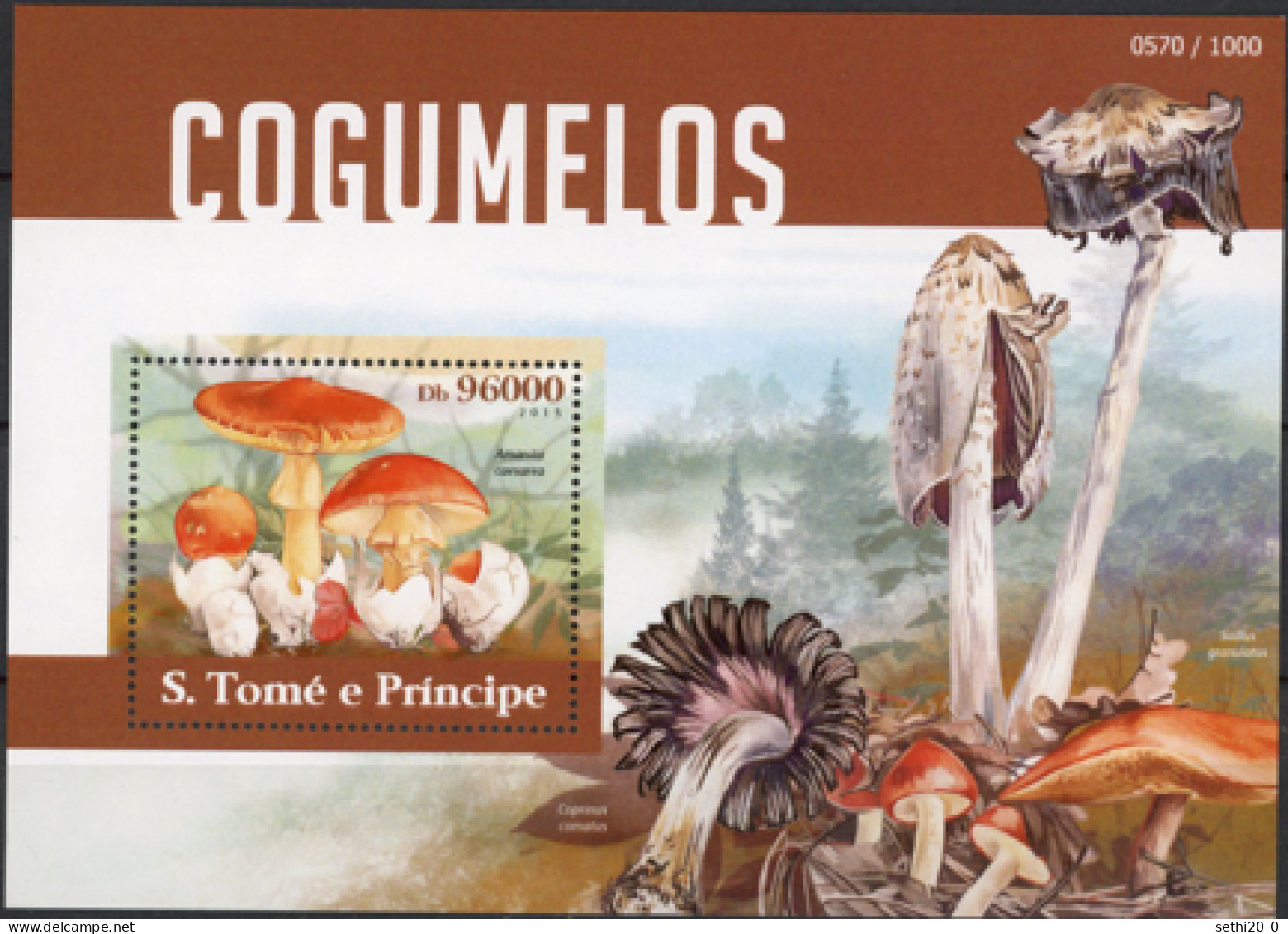 Saint Thomas 2015 Mushrooms Champignons MNH - Funghi