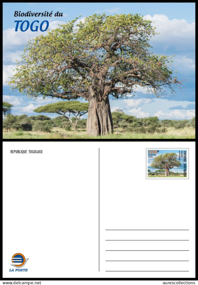 TOGO 2024 STATIONERY CARD - REGULAR - BAOBAB TREE TREES ARBRES ARBRE - BIODIVERSITY BIODIVERSITE - Trees