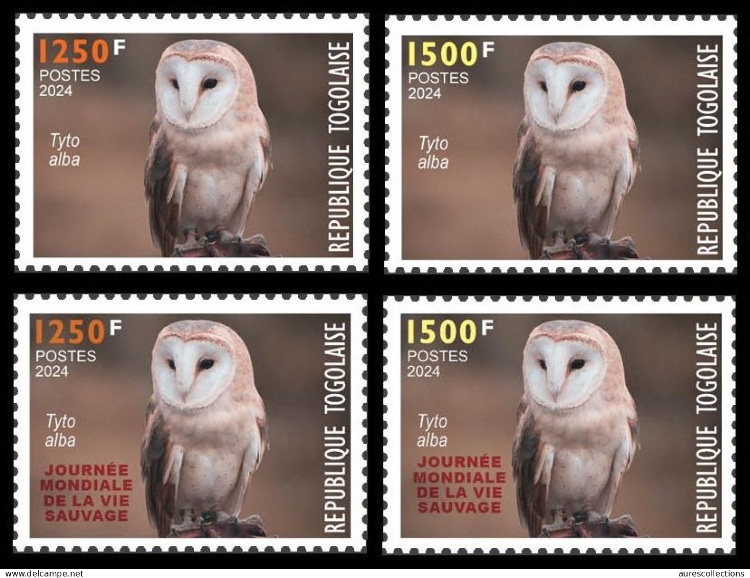 TOGO 2024 SET 4V - REGULAR & OVERPRINT - OWLS OWL HIBOU HIBOUX BIRDS OISEAUX - BIODIVERSITY BIODIVERSITE - MNH - Owls