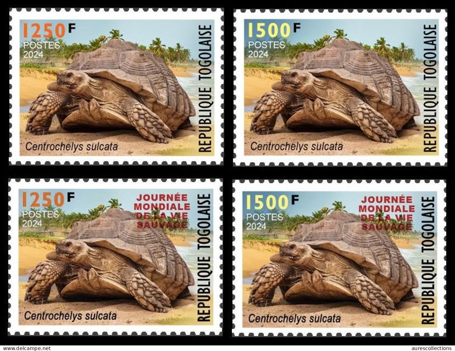 TOGO 2024 SET 4V - REGULAR & OVERPRINT - TURTLE TURTLES TORTUES TORTUE REPTILES - BIODIVERSITY BIODIVERSITE - MNH - Tortues