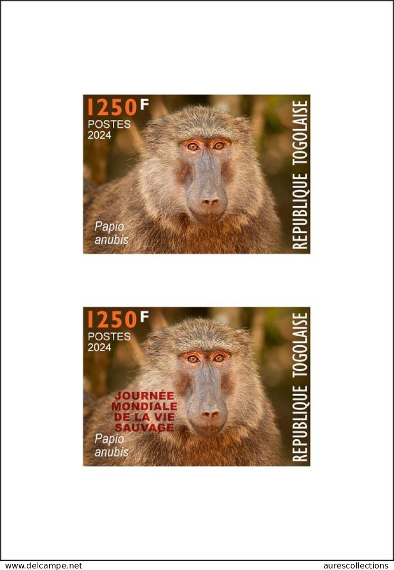 TOGO 2024 SET 9 DELUXE PROOF - REG & OVPT - MUSHROOMS OWL FROG FROGS TURTLE TURTLES HIPPOPOTAMUS BAOBAB MONKEY MONKEYS - Turtles