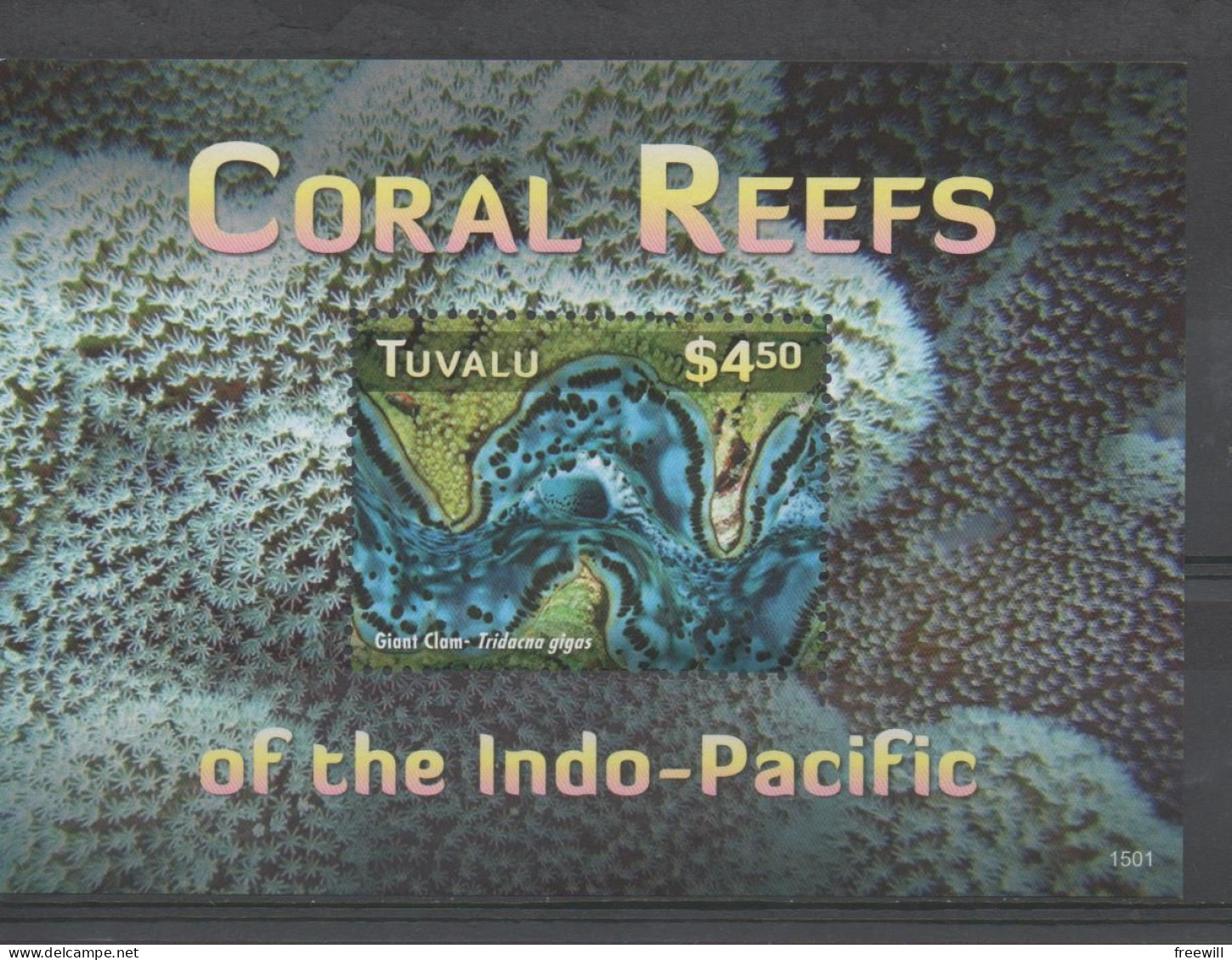 Tuvalu Coraux - Coral Reefs XXX - Tuvalu