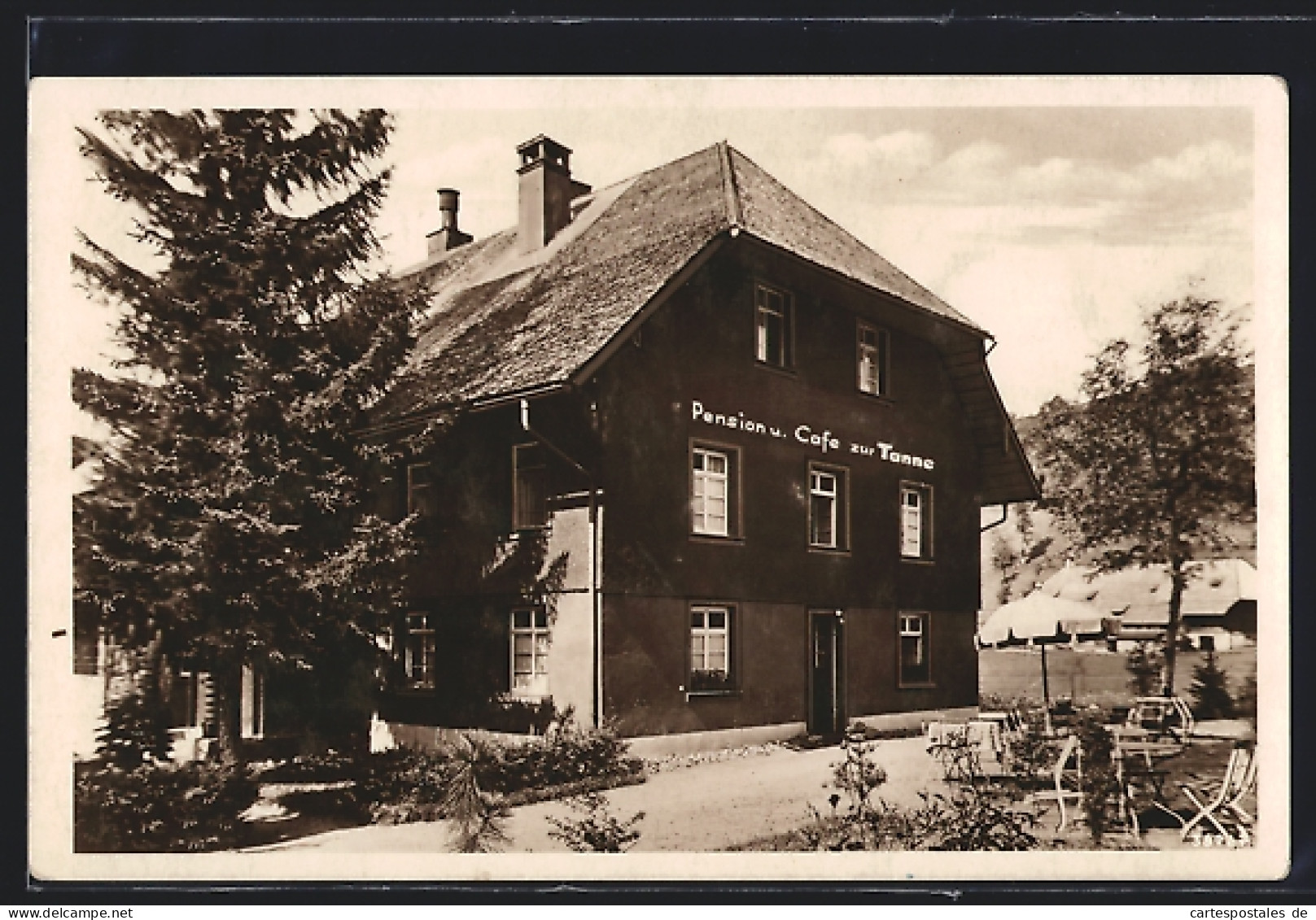 AK Hinter-Todtmoos /Schwarzwald, Pension Und Cafe Zur Tanne  - Todtmoos