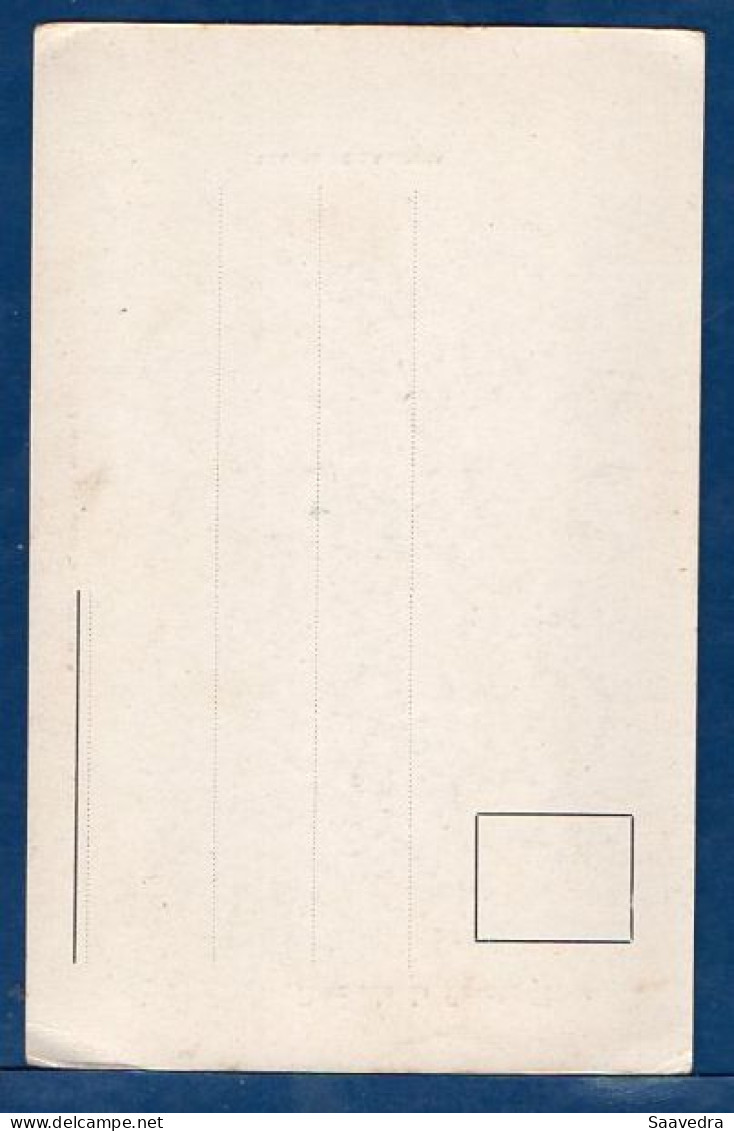 Argentina, Buenos Aires, 1900, Opera Theatre, Meyer Editor, Unused Postcard  (201) - Argentinië