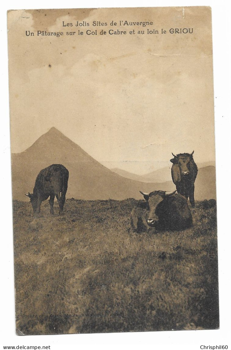 CPA RARE - Les Jolis Sites De L'Auvergne - Un Pâturage Sur Le Col De Cabre Et Au Loin Le Griou - Vaches - - Auvergne