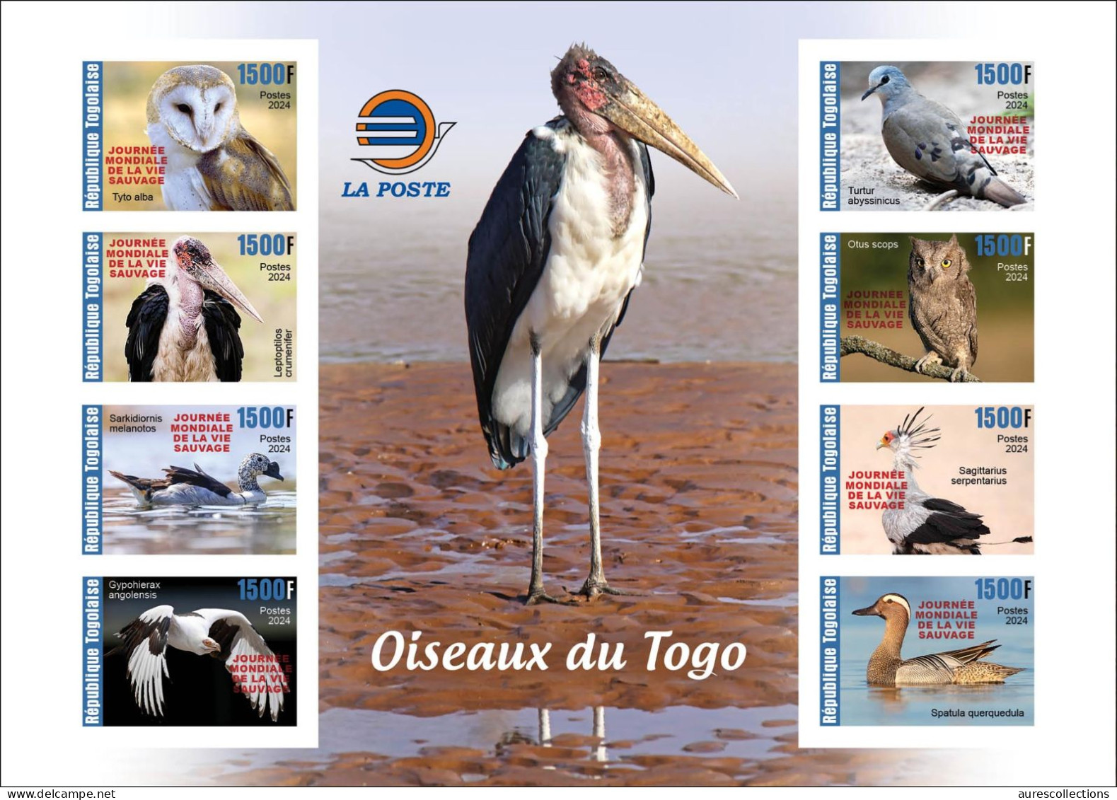 TOGO 2024 PACK MS 8V & 16V IMPERF - REG & OVERPRINT - BIRDS DUCK DUCKS BARN OWL OWLS SECRETARY EAGLES EAGLE DOVES - MNH - Uilen