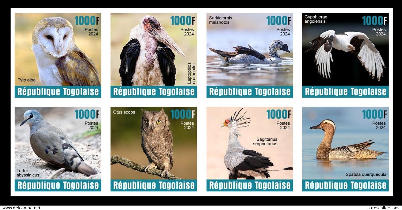 TOGO 2024 SET 8V IMPERF - REGULAR ONLY - BIRDS OISEAUX - DUCK DUCKS BARN OWL OWLS SECRETARY BIRD EAGLES DOVES - MNH - Uilen