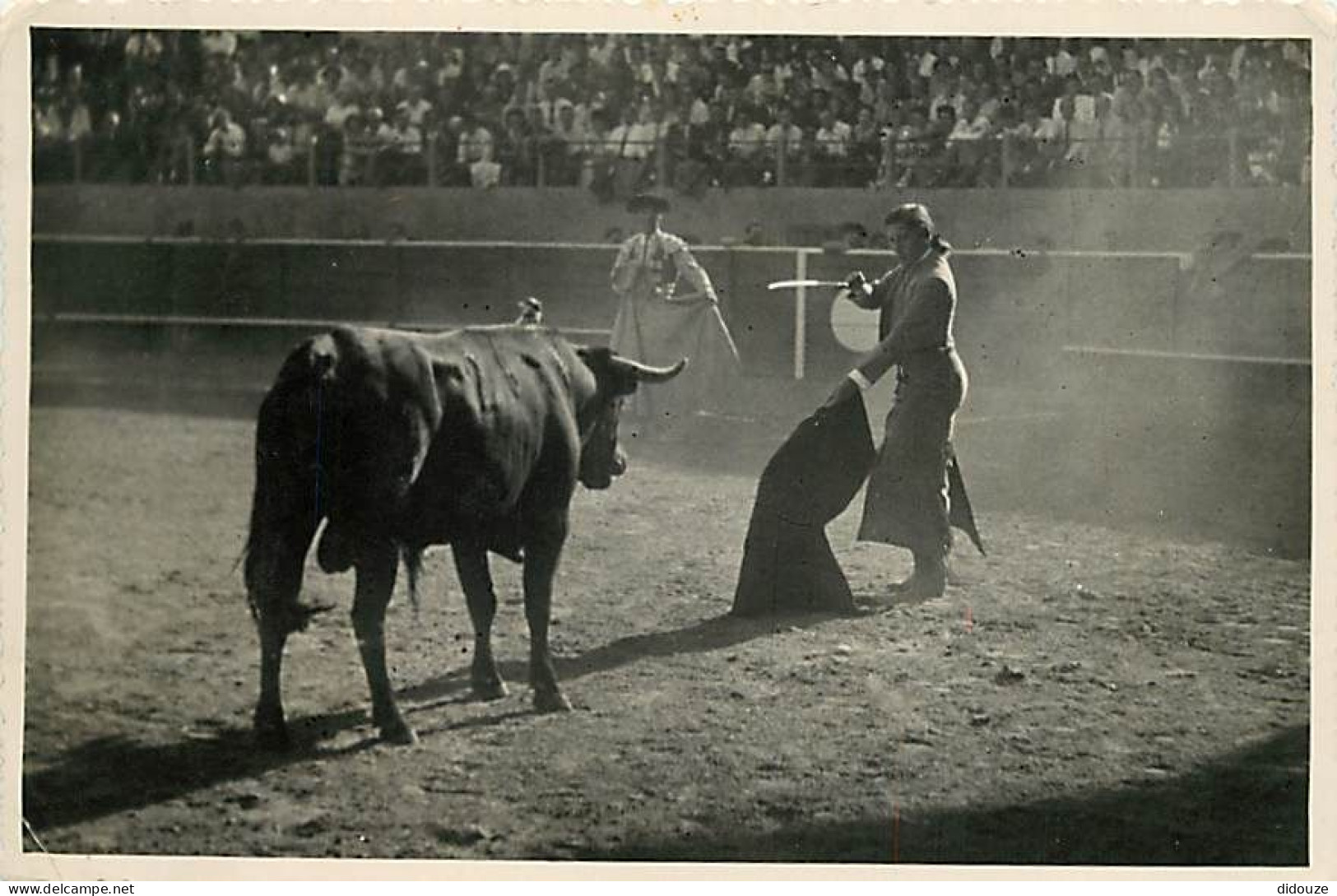 Corrida - Toros Y Toreros - Conchita Cintron - Entrando A Matar - Mise à Mort - CPM - Voir Scans Recto-Verso - Corrida