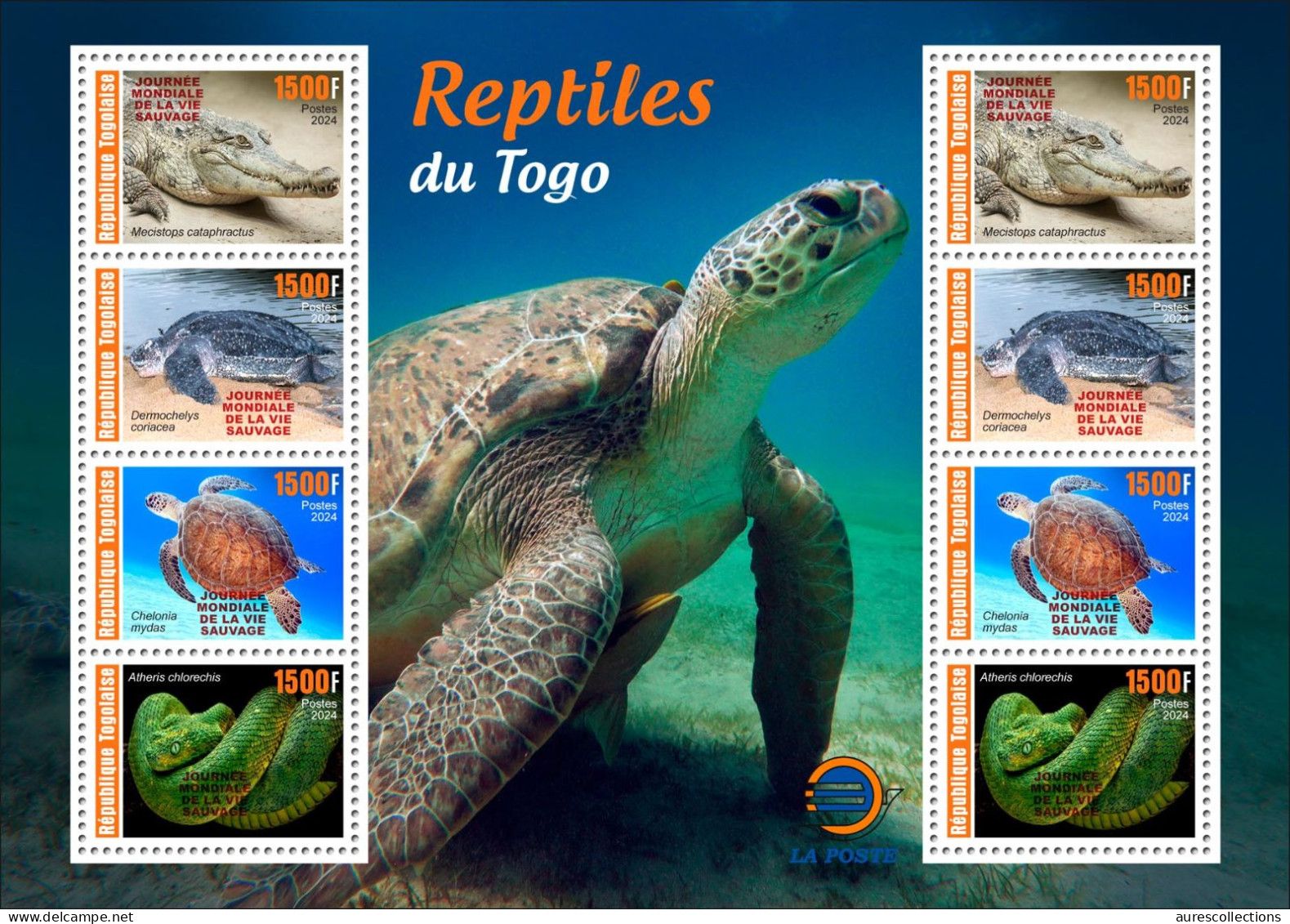 TOGO 2024 PACK OF 6 MS - REG & OVERPRINT - AMPHIBIANS & REPTILES - FROG FROGS TURTLE TURTLES SNAKES CROCODILE - MNH