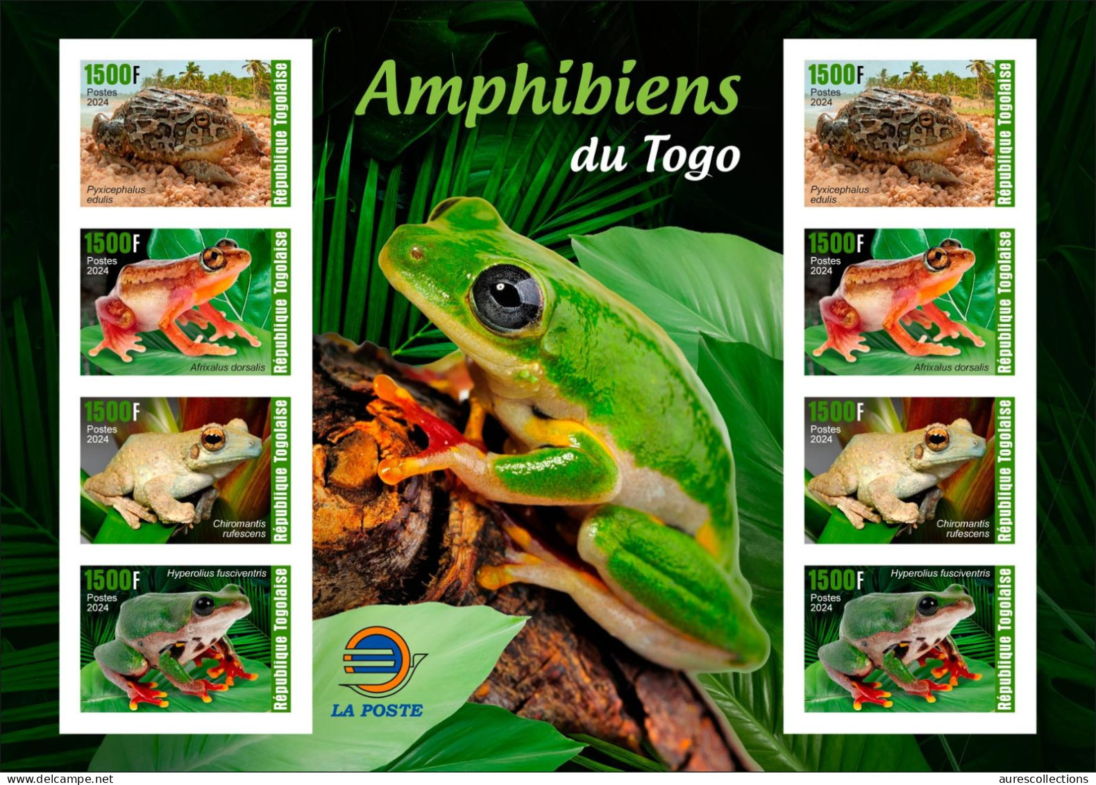 TOGO 2024 PACK 6 MS IMPERF - REG & OVERPRINT - AMPHIBIANS & REPTILES - FROG FROGS TURTLE TURTLES SNAKES CROCODILE - MNH - Schildkröten