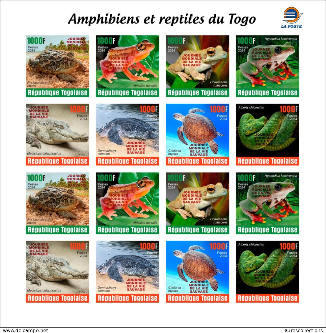 TOGO 2024 PACK 6 MS IMPERF - REG & OVERPRINT - AMPHIBIANS & REPTILES - FROG FROGS TURTLE TURTLES SNAKES CROCODILE - MNH - Schildkröten