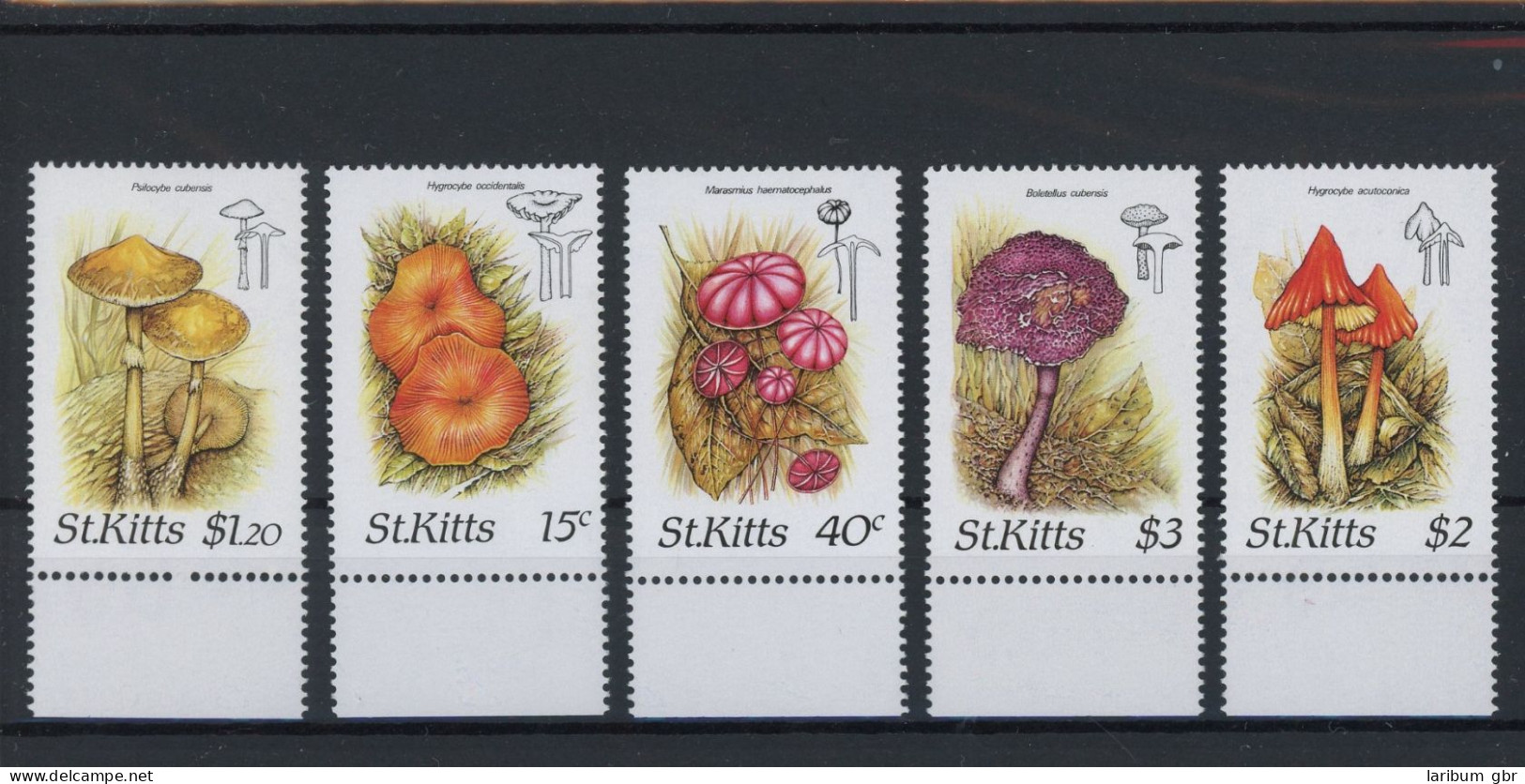 St. Kitts 213-217 Postfrisch Pilze #JQ977 - St.Kitts-et-Nevis ( 1983-...)