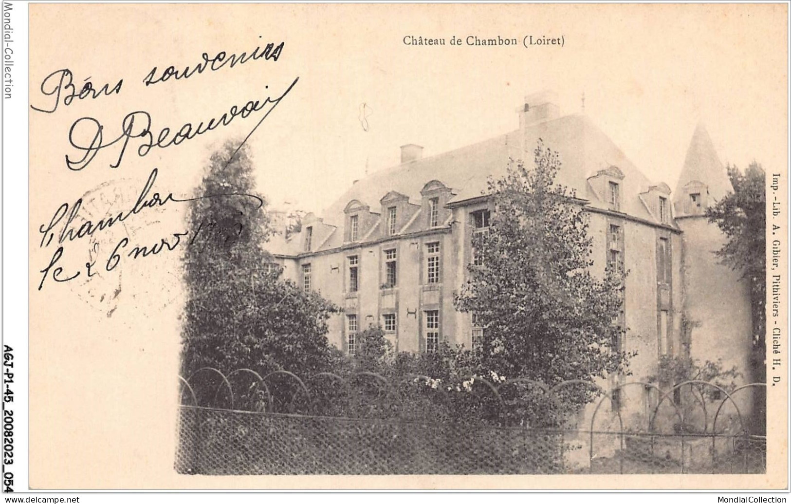 AGJP1-0028-45 - Chateau De CHAMBON - Loiret  - Pithiviers