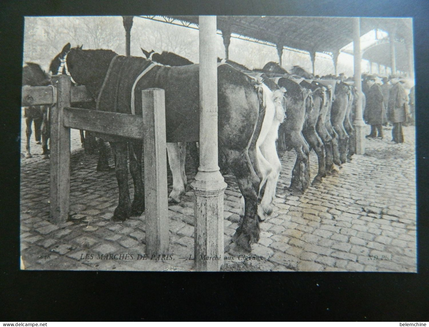 LES MARCHES DE PARIS                        LE MARCHE AUX CHEVAUX - Arrondissement: 13