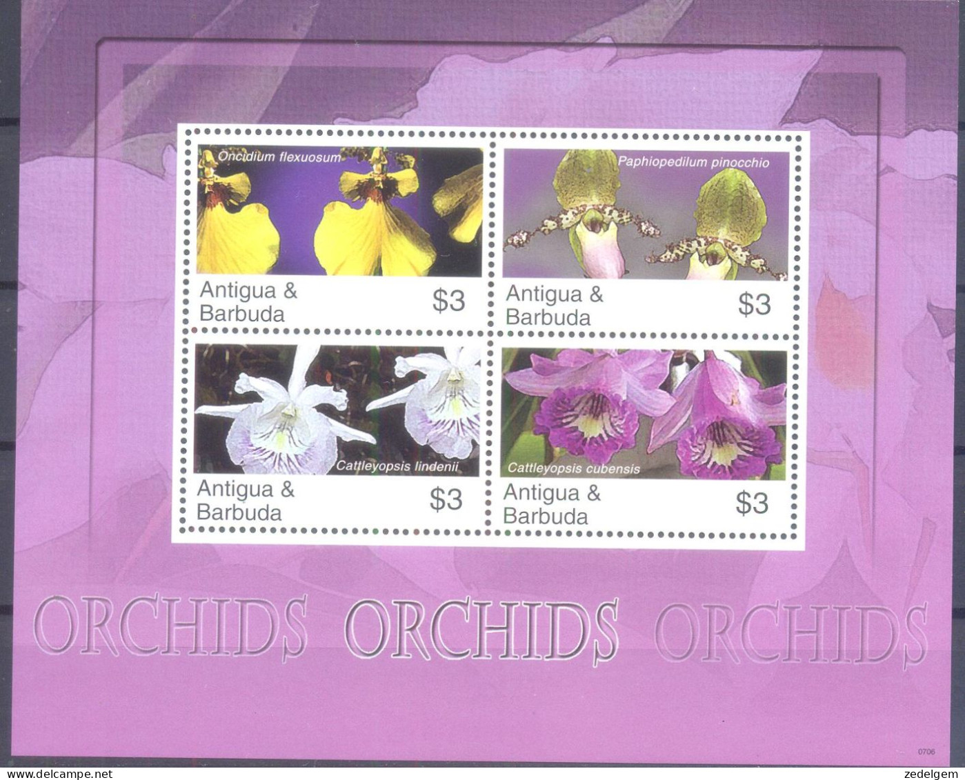 ANTIGUA BARBUDA  (ORC137) XC - Orquideas