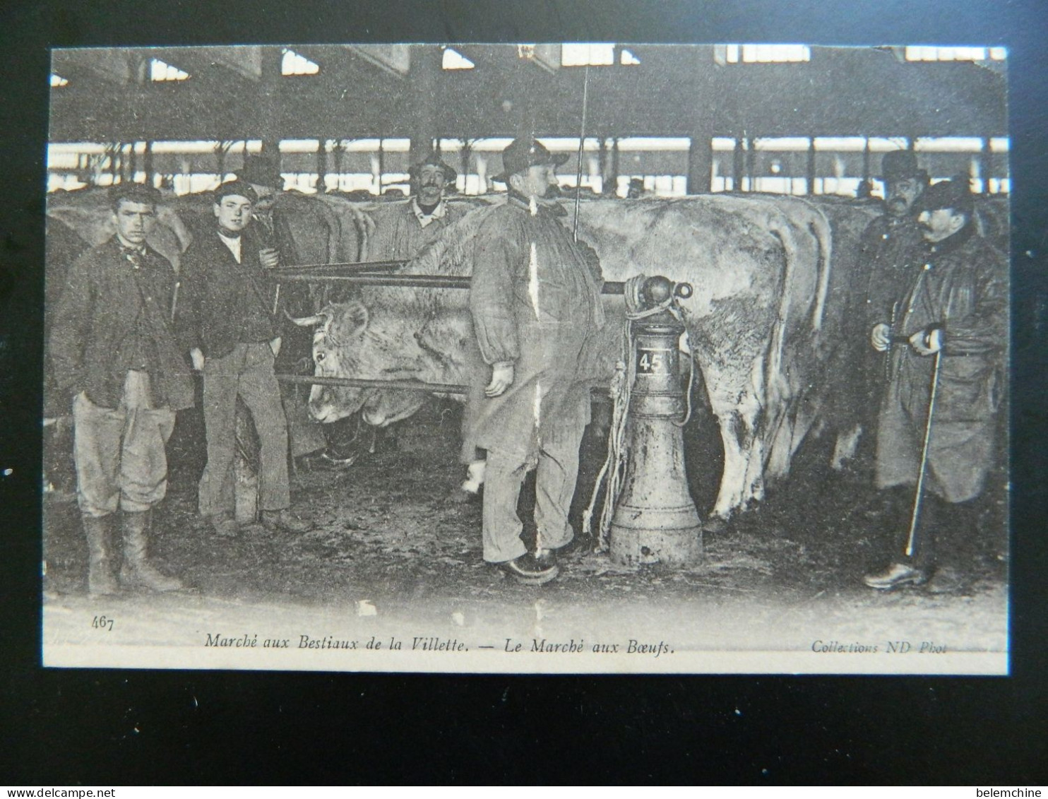 ABATTOIRS DE LA VILLETTE                    LE MARCHE AUX BOEUFS - Arrondissement: 19