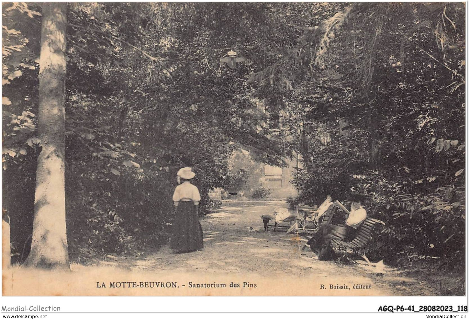 AGQP6-0444-41 - LA MOTTE-BEUVRON - Sanatorium Des Pins - Lamotte Beuvron