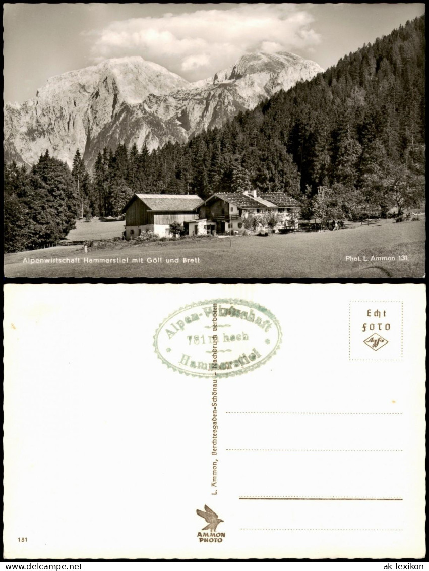 Berchtesgaden Alpenwistschaft Hammerstiel Mit Göll Und Brett 1961 - Berchtesgaden